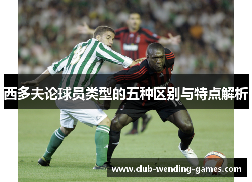 西多夫论球员类型的五种区别与特点解析